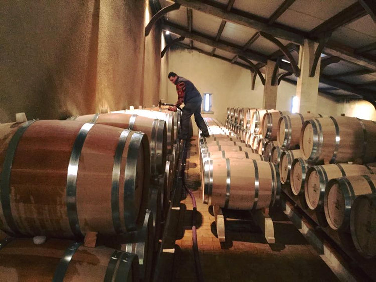 Vins rouges - Vignobles Mouty