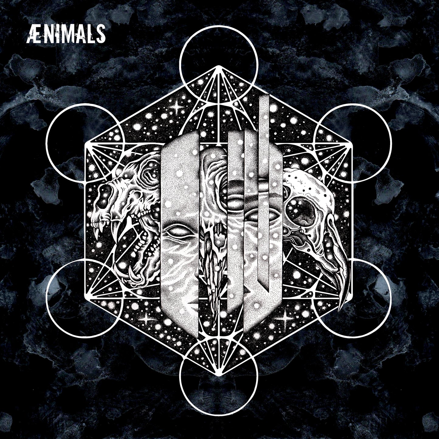 DISQUE VINYLE - EP ÆNIMALS